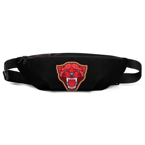 SUPPORTERS Fanny Pack Black DRC