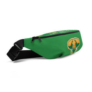 SUPPORTERS Fanny Pack Green Ivory Coast