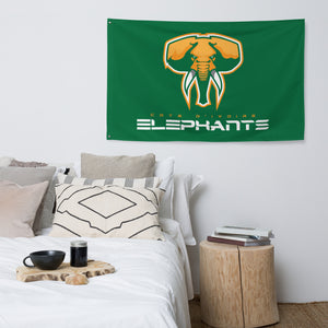 SUPPORTERS Flag Green Background Ivory Coast