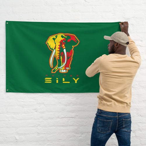 SUPPORTERS Flag Green Background Guinea Conakry