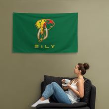 Load image into Gallery viewer, SUPPORTERS Flag Green Background Guinea Conakry