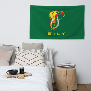 SUPPORTERS Flag Green Background Guinea Conakry