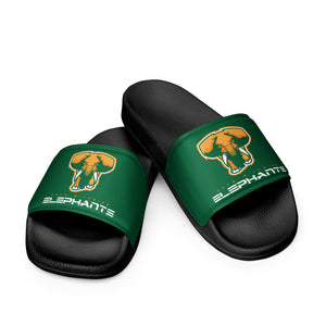 SUPPORTERS Women's slides Green Ivory Coast